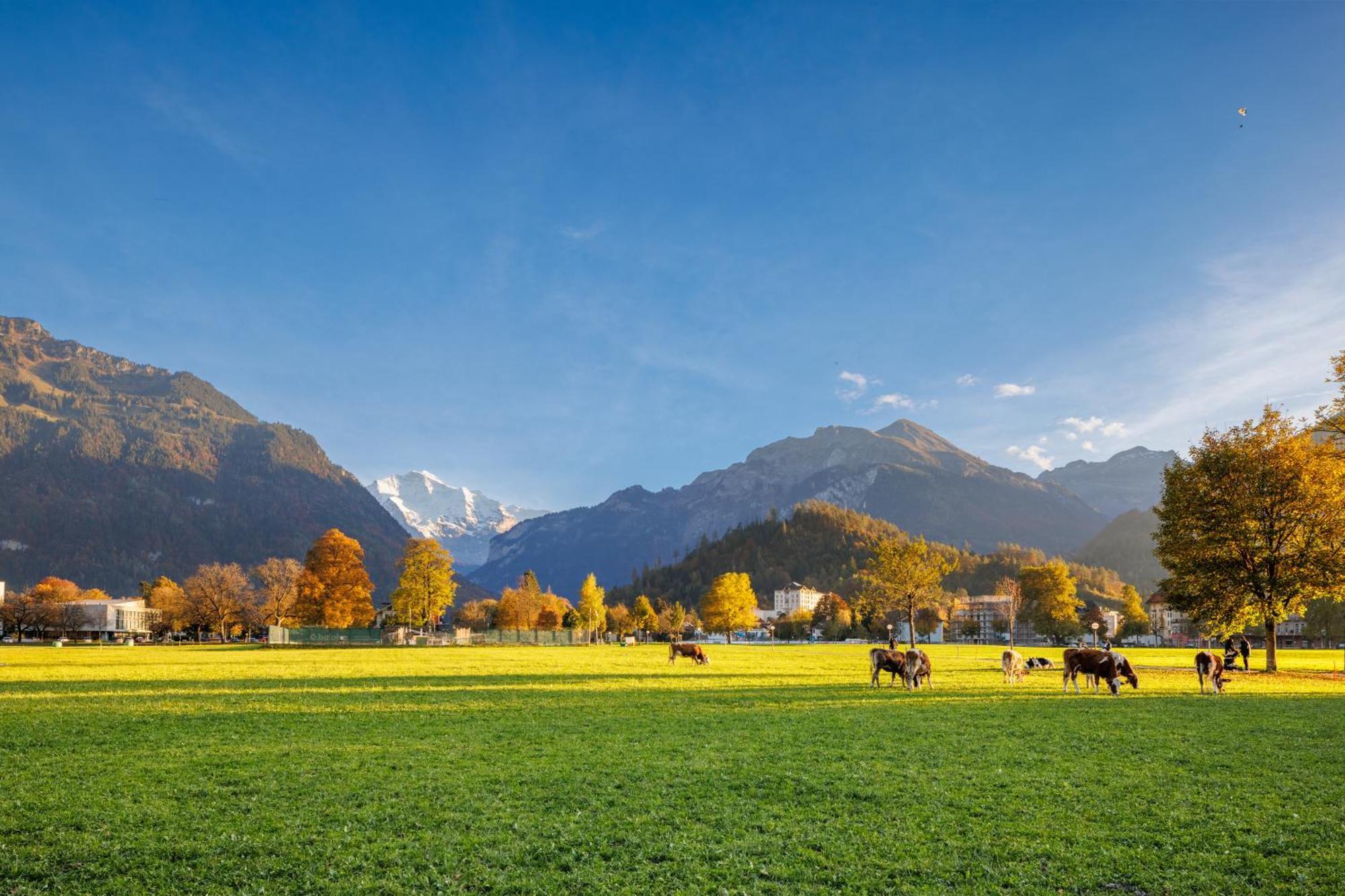 Hapimag Ferienwohnungen Interlaken Kültér fotó